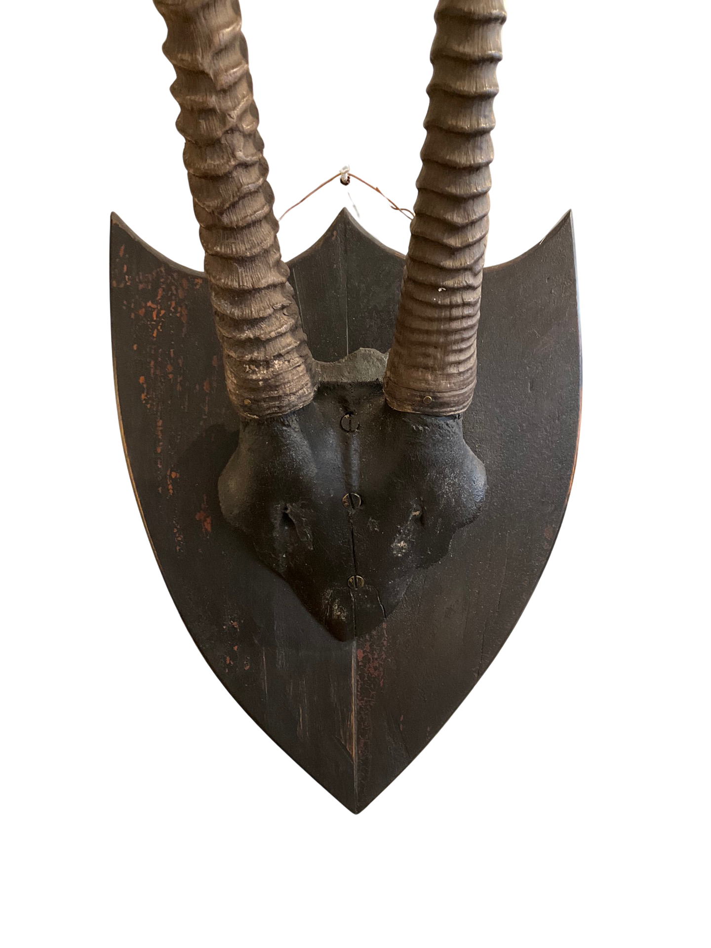 Antique Oryx Gazelle Antler Mount