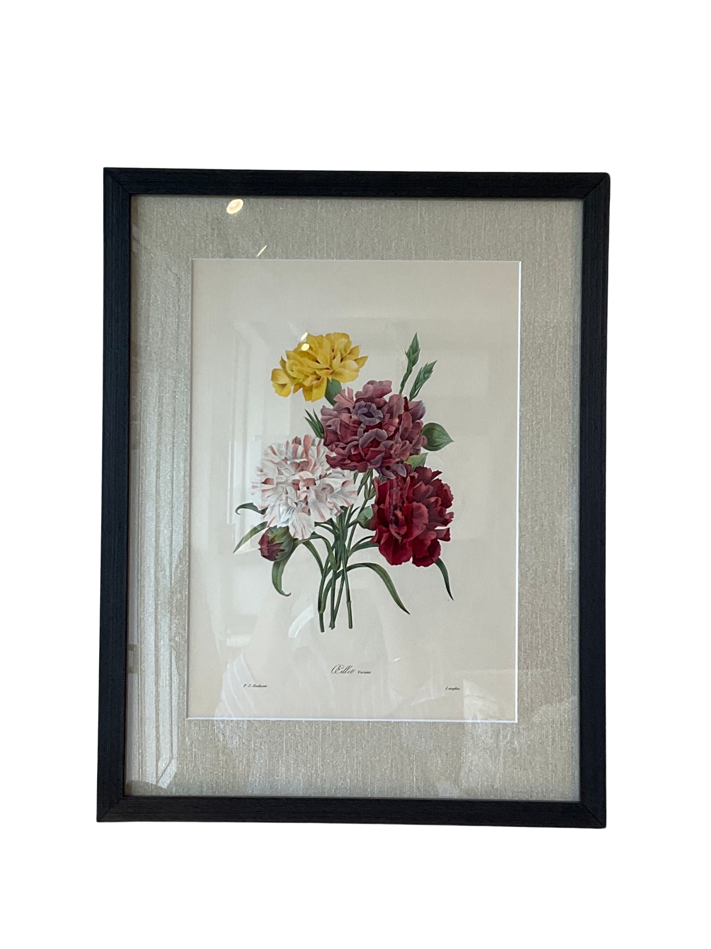 Pierre-Joseph Redoute Botanical Print - Carnation bouquet