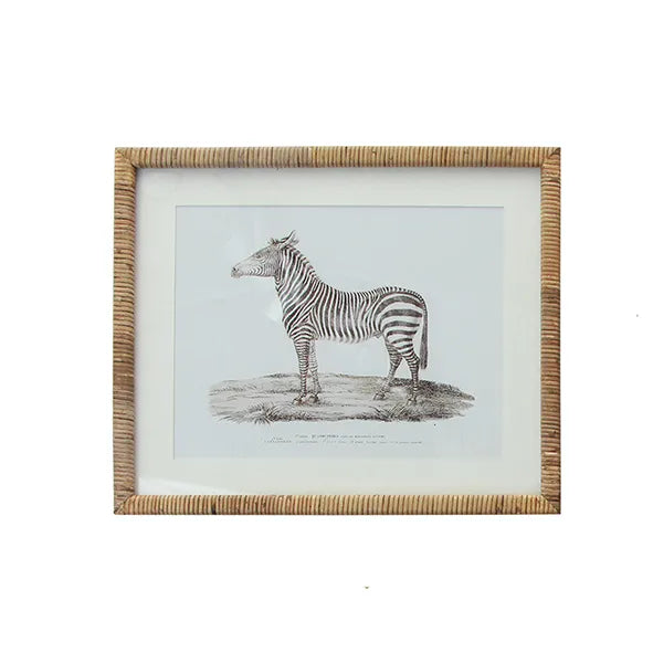Zebra Rattan Print