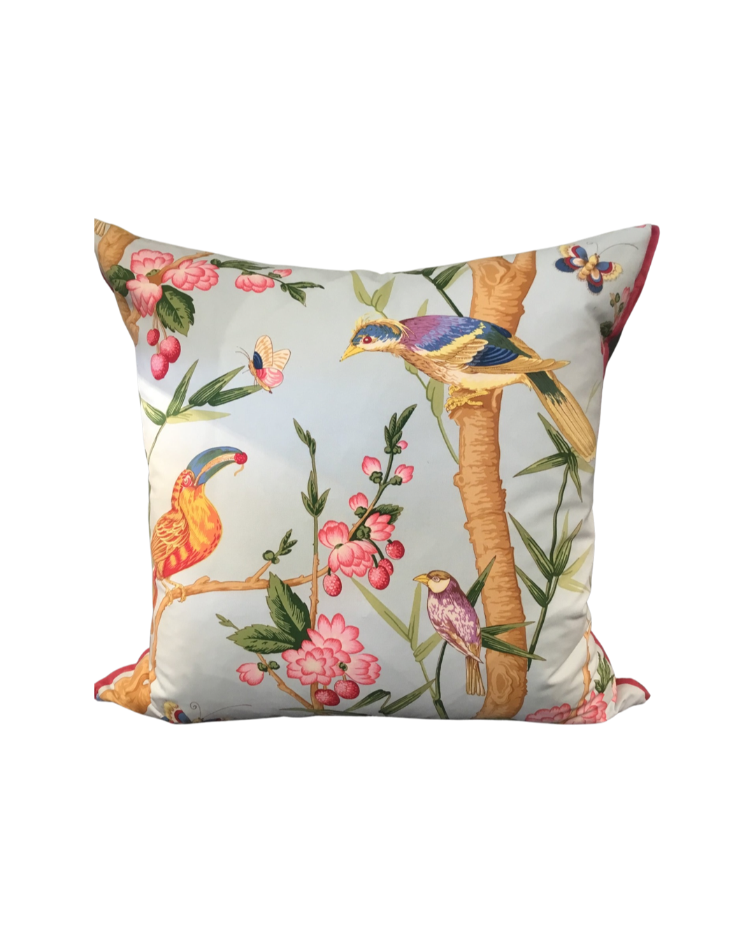 Toucan Cushion