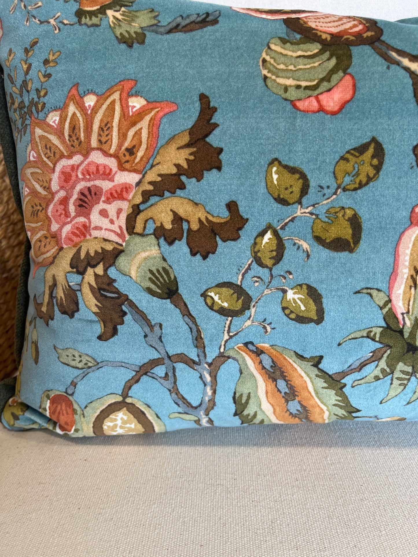 Chatterpie Velvet Cushion