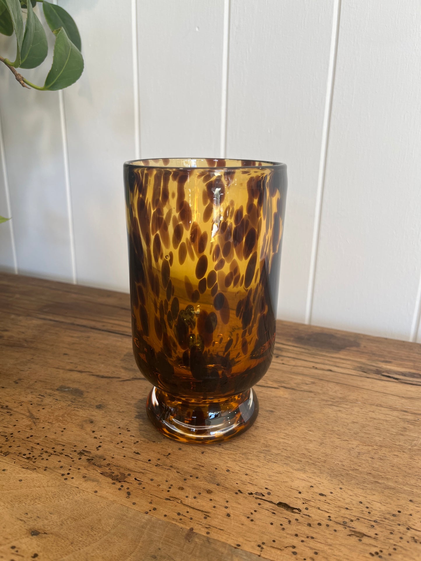 Tortoise Shell Kit Tortoiseshell Vase – Kit & Caboodle NZ
