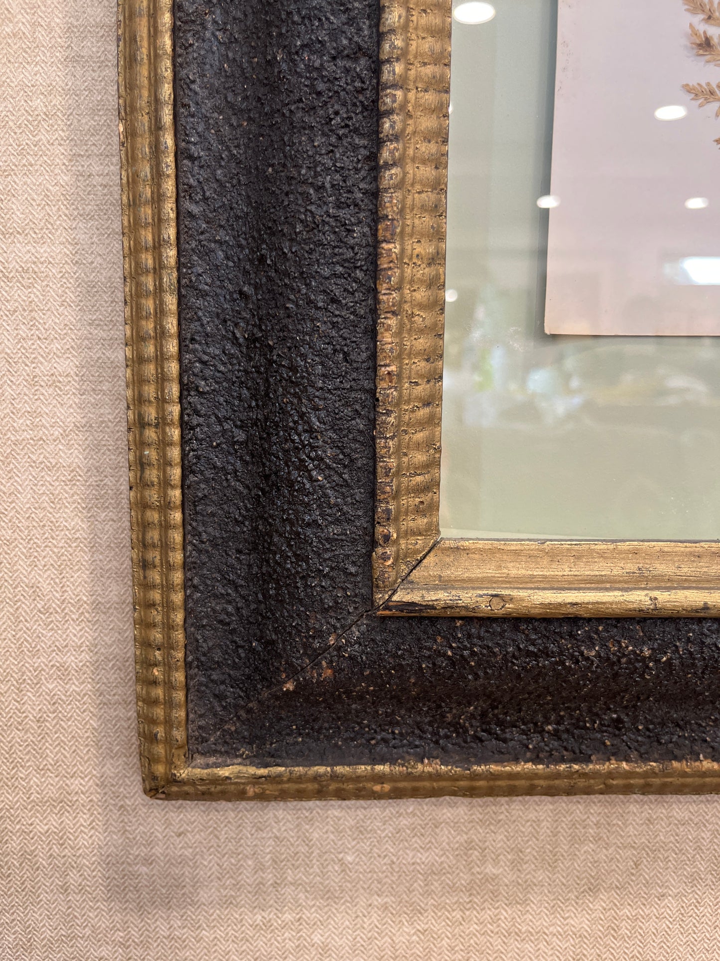 Antique Pressed Herbarium Botanicals