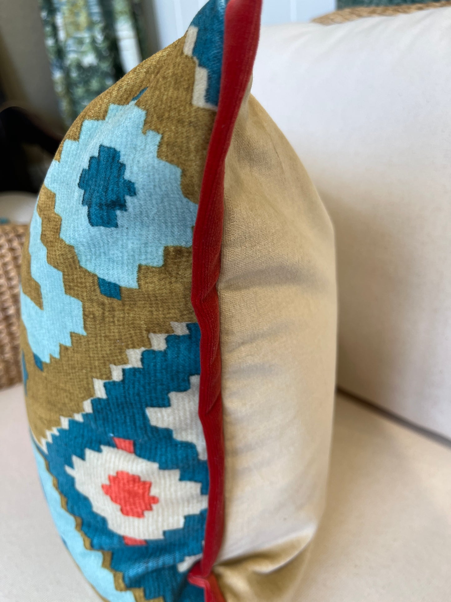 Otto Velvet Cushion