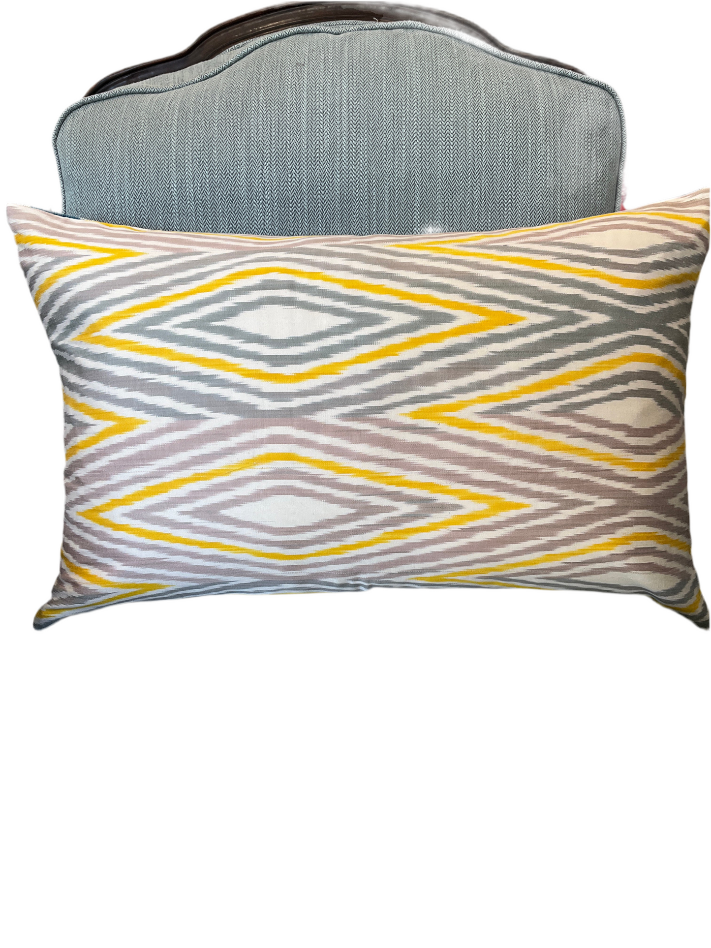 Ikat Cushion