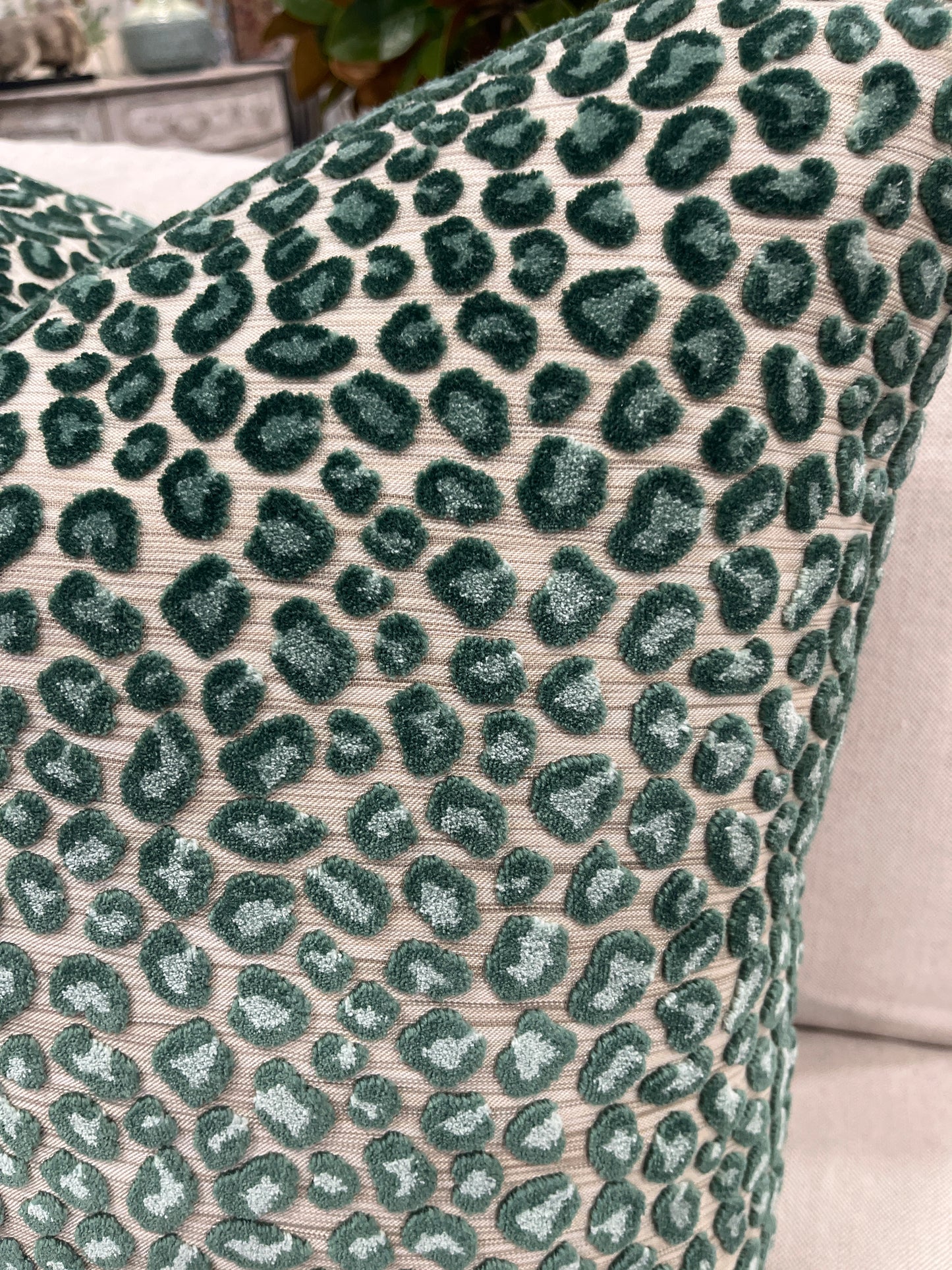 Wilde Colefax & Fowler Cushion