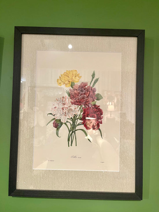 Redoute Print Carnations