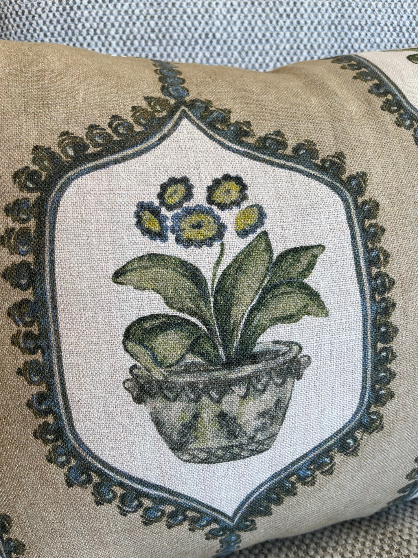 Primula Cushion