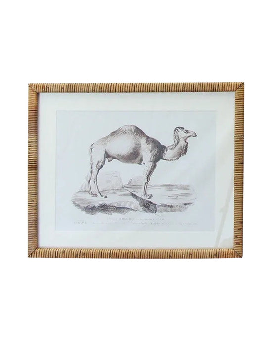 Camel Rattan Print