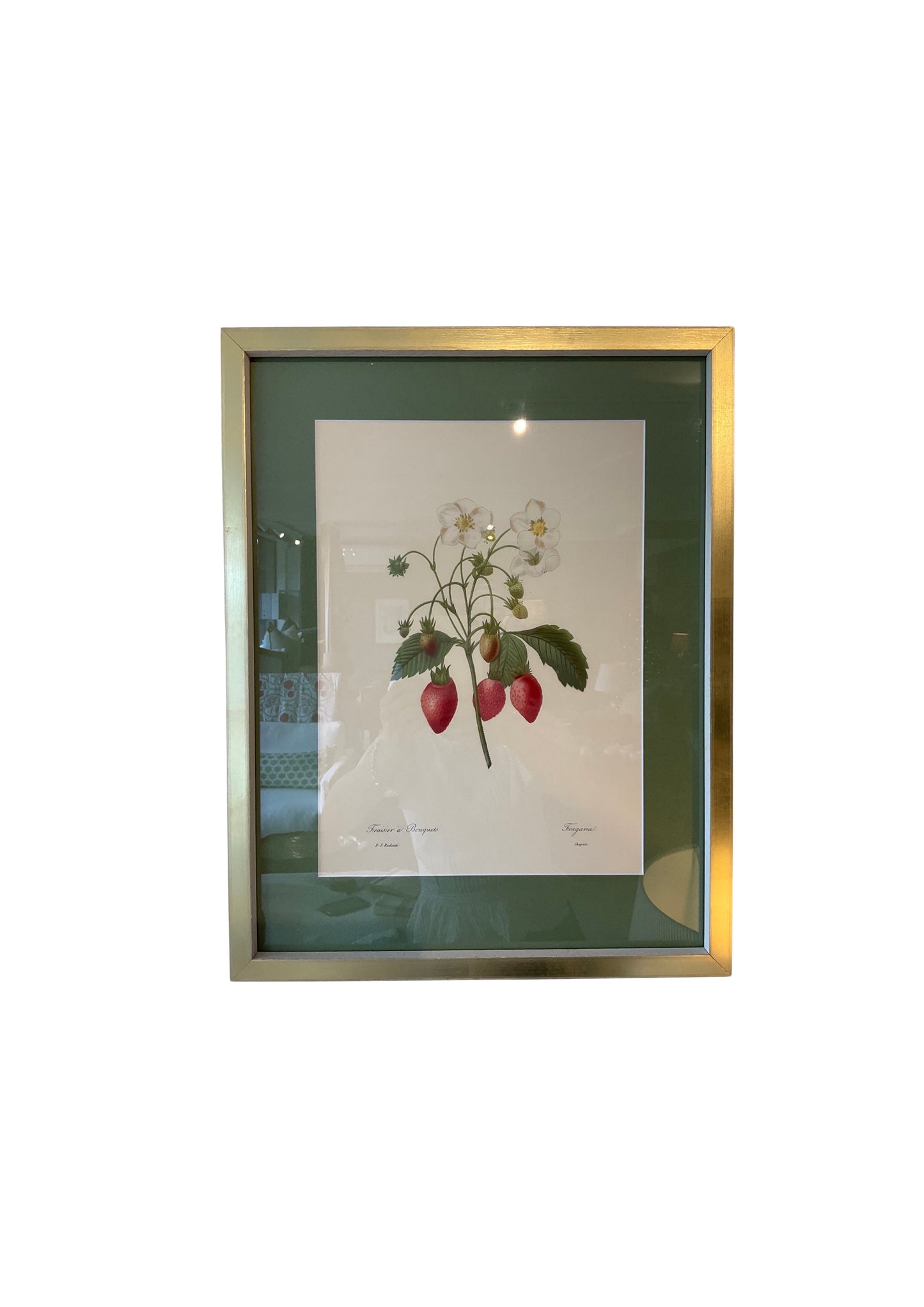 Pierre-Joseph Redoute Still Life Print- Wild Stawberry