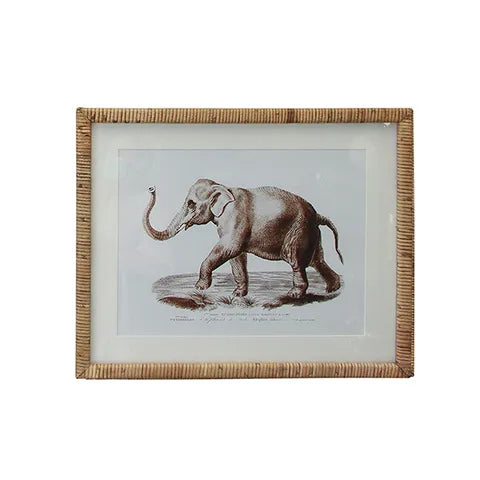 Elephant Rattan Print